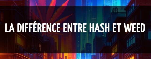 La différence entre hash et weed