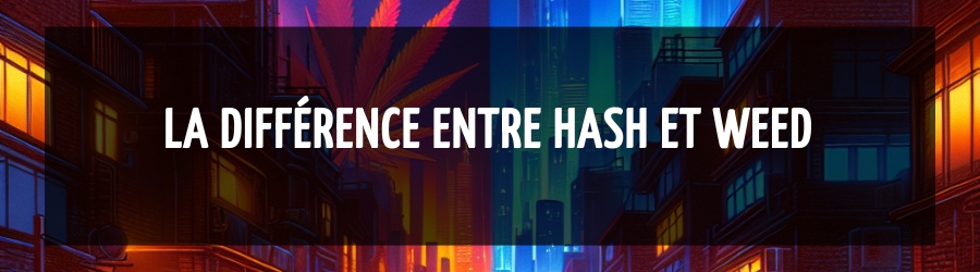 La différence entre hash et weed