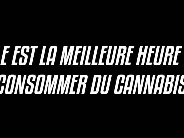 Quelle est la meilleure heure pour consommer du cannabis ?