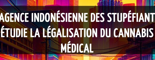 L’agence indonésienne des stupéfiants étudie la légalisation du cannabis médical