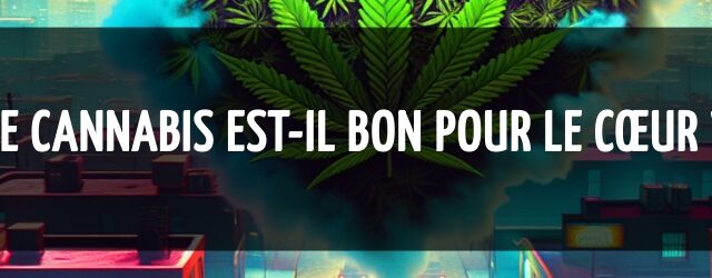 Le cannabis est-il bon pour le cœur ?