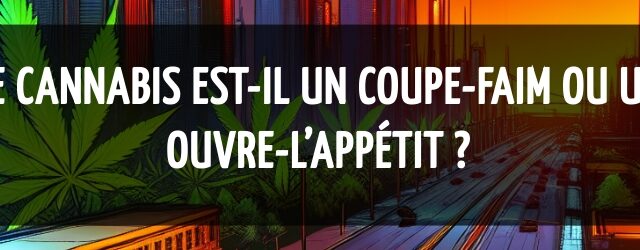 Le cannabis est-il un coupe-faim ou un ouvre-l’appétit ?