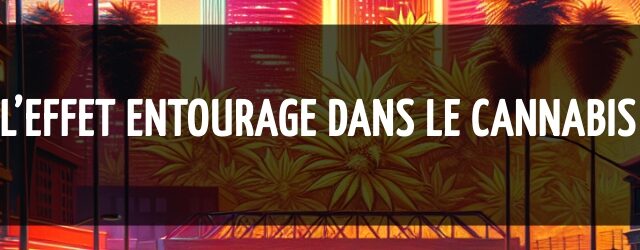 L’effet entourage dans le cannabis