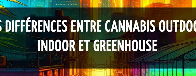 Les différences entre cannabis outdoor, indoor et greenhouse
