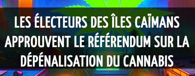 Les électeurs des îles Caïmans approuvent le référendum sur la dépénalisation du cannabis