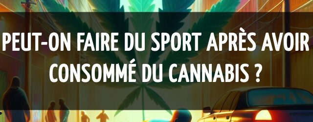 Peut-on faire du sport après avoir consommé du cannabis ?