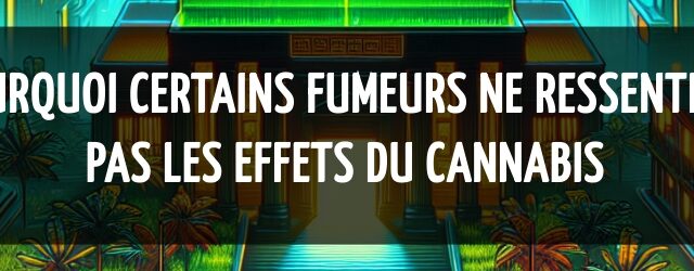 Pourquoi certains fumeurs ne ressentent pas les effets du cannabis