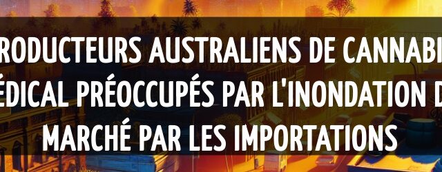 Producteurs australiens de cannabis médical préoccupés par l’inondation du marché par les importations