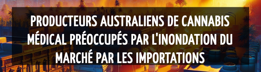 Producteurs australiens de cannabis médical préoccupés par l'inondation du marché par les importations
