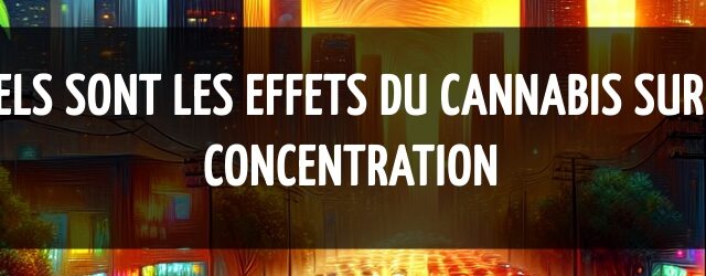 Quels sont les effets du cannabis sur la concentration