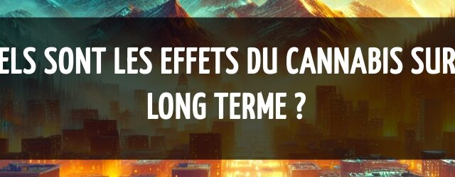 Quels sont les effets du cannabis sur le long terme ?