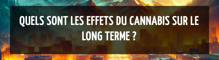 Quels sont les effets du cannabis sur le long terme ?