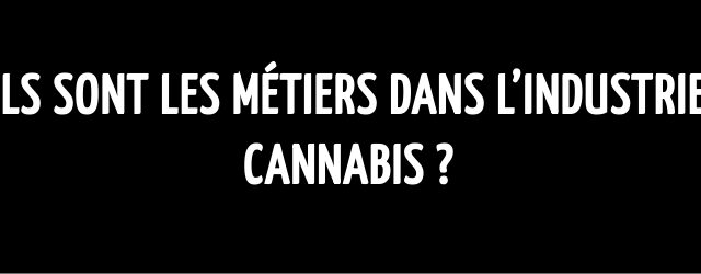 Quels sont les métiers dans l’industrie du cannabis ?