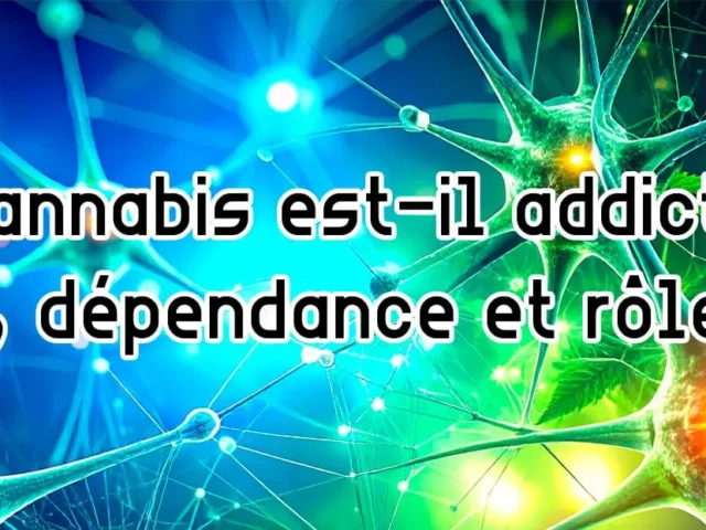 Le cannabis est-il addictif ? Risques, dépendance et rôle du CBD