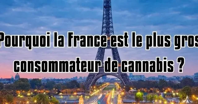 Pourquoi la France est le plus gros consommateur de cannabis ?