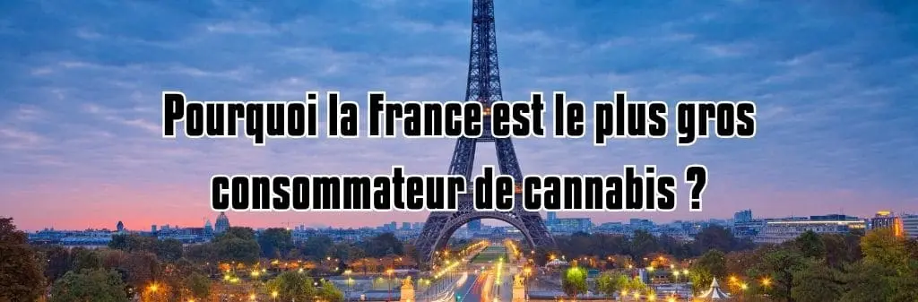 France consommation cannabis