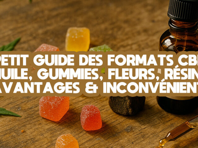 Petit guide des formats CBD : huile, gummies, fleurs, résine — avantages & inconvénients