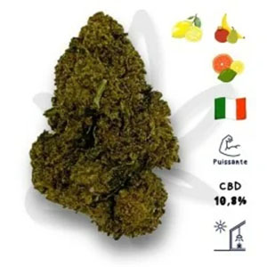 Top 10 des variétés CBD les plus relaxantes en 2025_0002_fleur-cbd-tequila-sunrise
