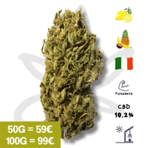 Top 10 des variétés CBD les plus relaxantes en 2025_0003_fleur-cbd-lemon-auto