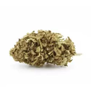 Top 10 des variétés CBD les plus relaxantes en 2025_0006_fleur-cbd-diesel-tonic
