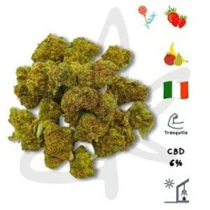 Top 10 des variétés CBD les plus relaxantes en 2025_0007_fleur-cbd-pop-corn