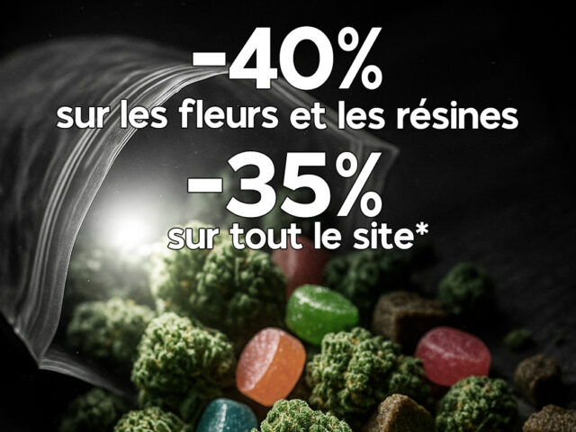 Promo exclusive Gardenz & bons plans