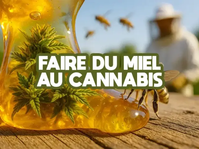 Miel de cannabis
