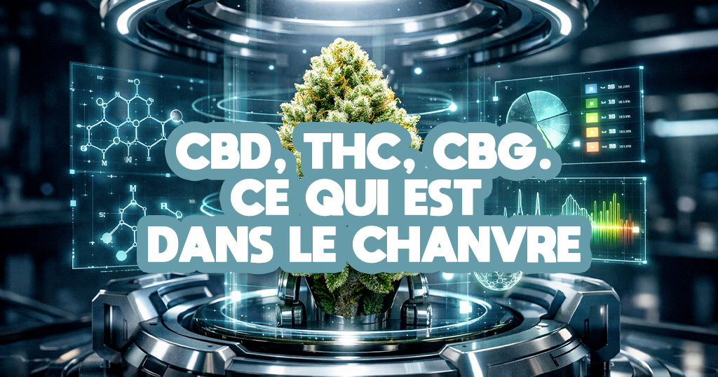 CBD, THC, CBG. Ce qui est dans le chanvre