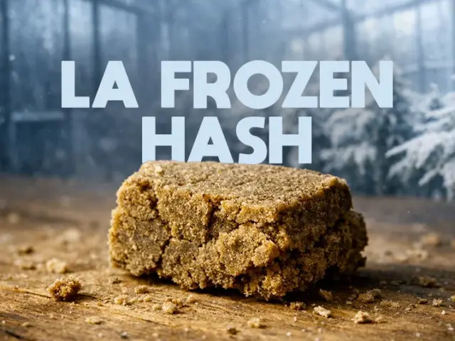 Frozen Hash : fabrication et différences