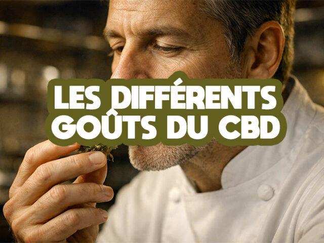 Pourquoi les fleurs CBD n’ont pas le même goût