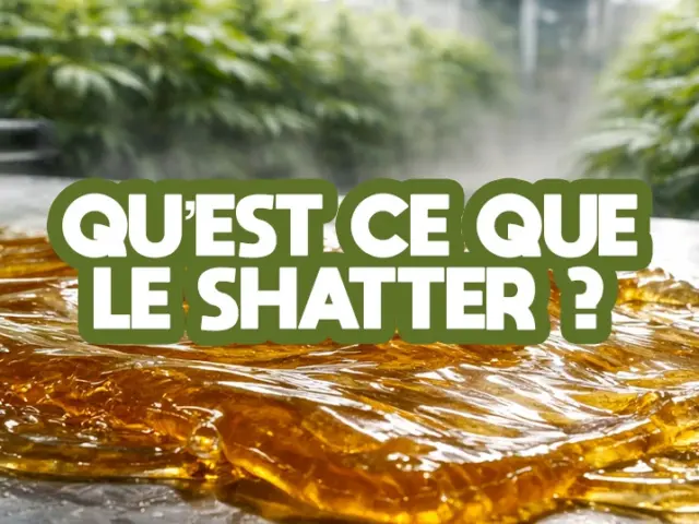 C’est quoi le shatter et comment l’utiliser