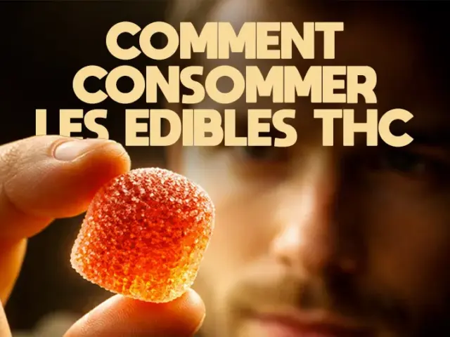 Comment consommer des gummies THC, space cake et sirop en toute sécurité