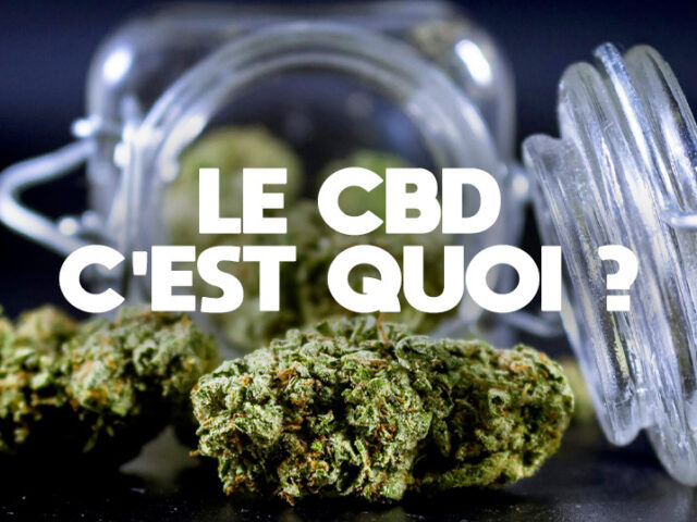Qu’est-ce que le CBD : Définition complète, histoire, effets et législation