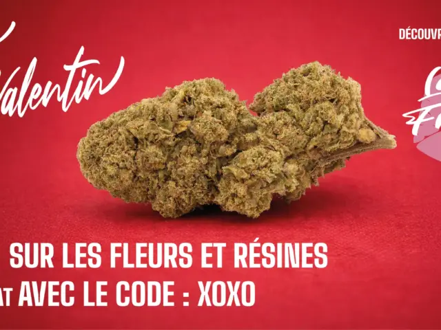 Offre Saint-Valentin CBD 2026 : idées pour pimenter la soirée