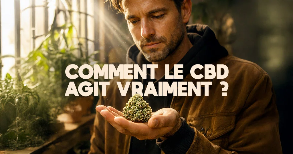 comment agit le CBD