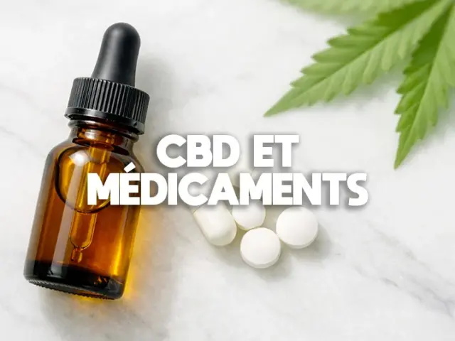 CBD et médicaments : interactions, précautions et conseils par molécule