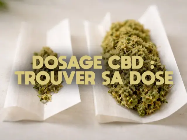 Dosage CBD : trouver sa dose efficace selon son profil