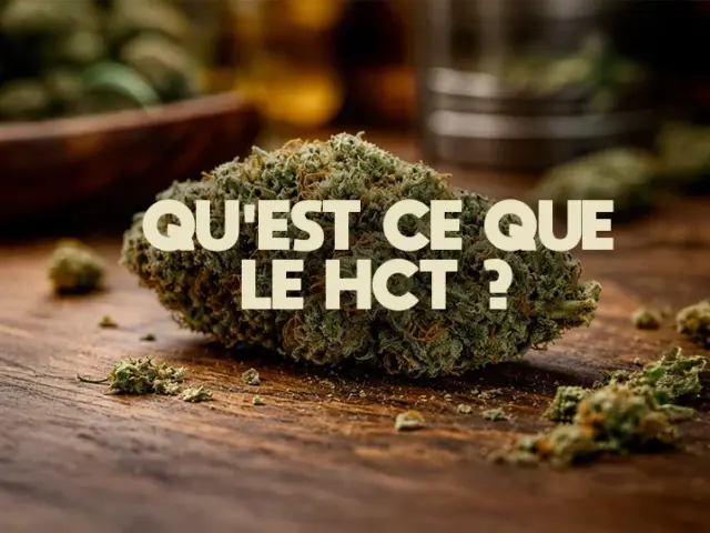 HCT CBD : c&rsquo;est quoi, effets, légalité France 2026