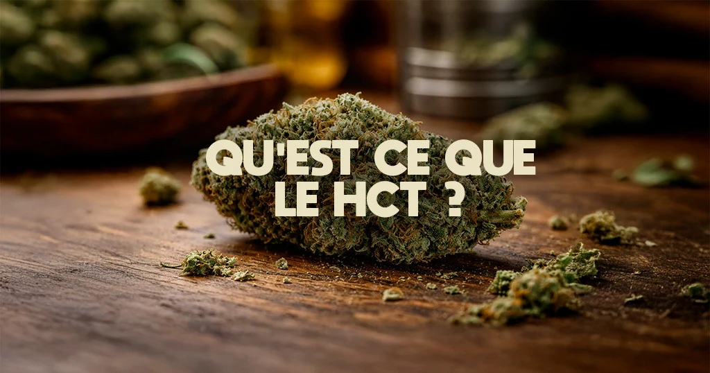 HCT c'est quoi