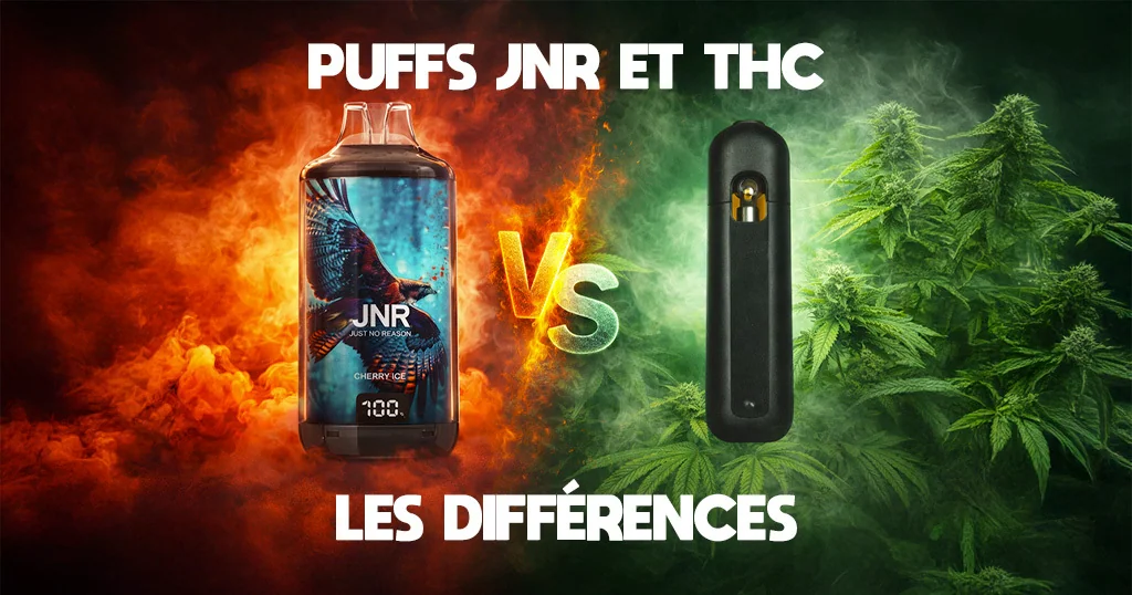 Puff JNR vs Puff THC