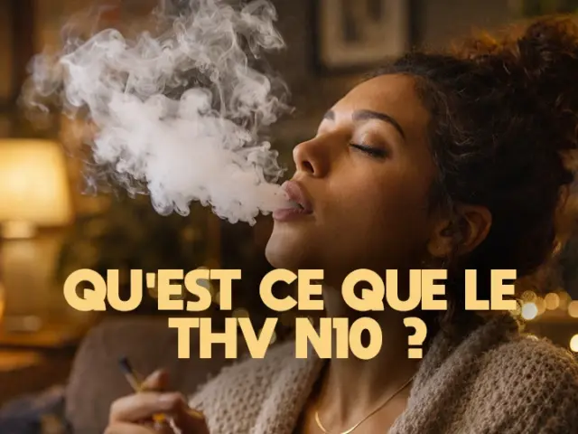 THV-N10 : interdit en France, effets et alternatives 2026