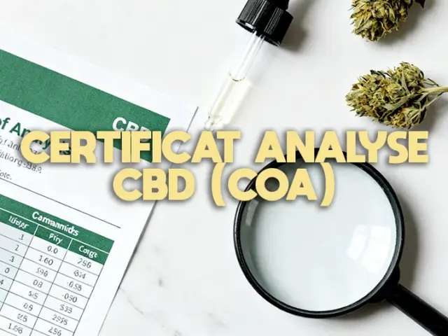 Comment lire une analyse laboratoire CBD (COA)
