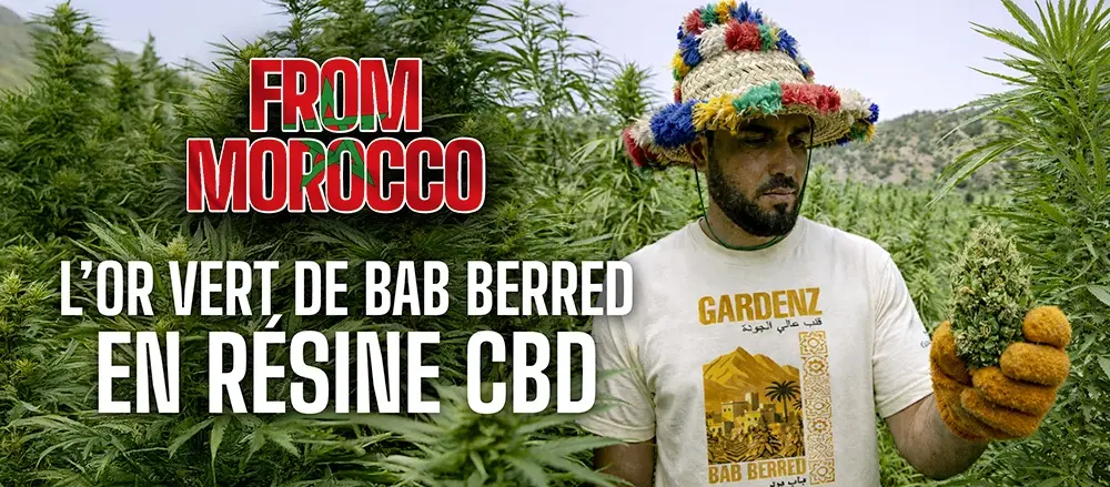 Gardenz CBD shop en ligne livraison Grenoble