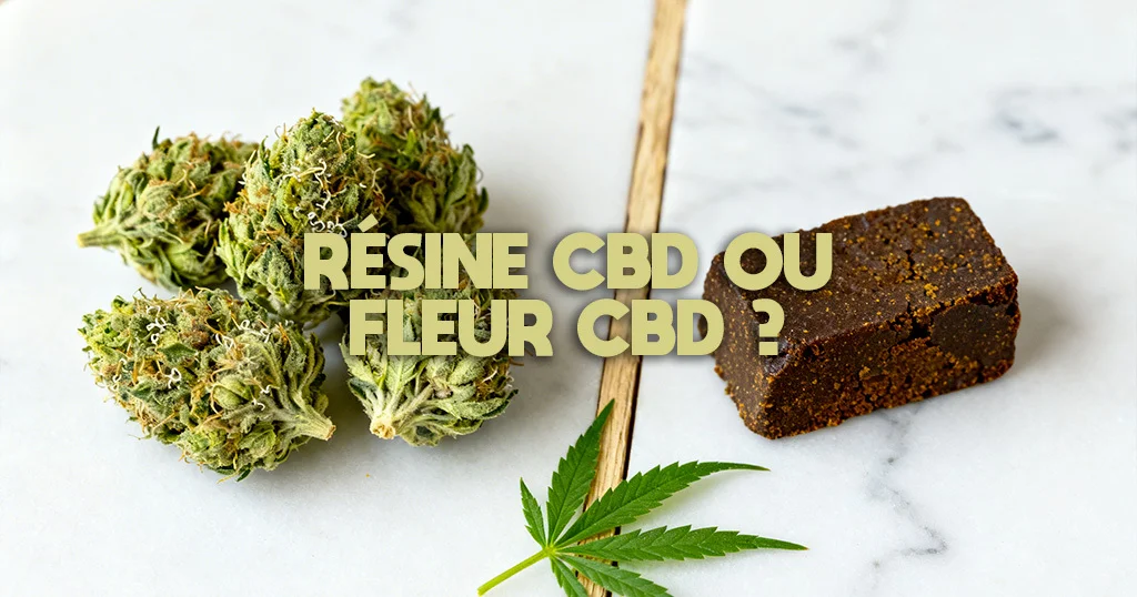 Résine CBD ou fleur CBD _