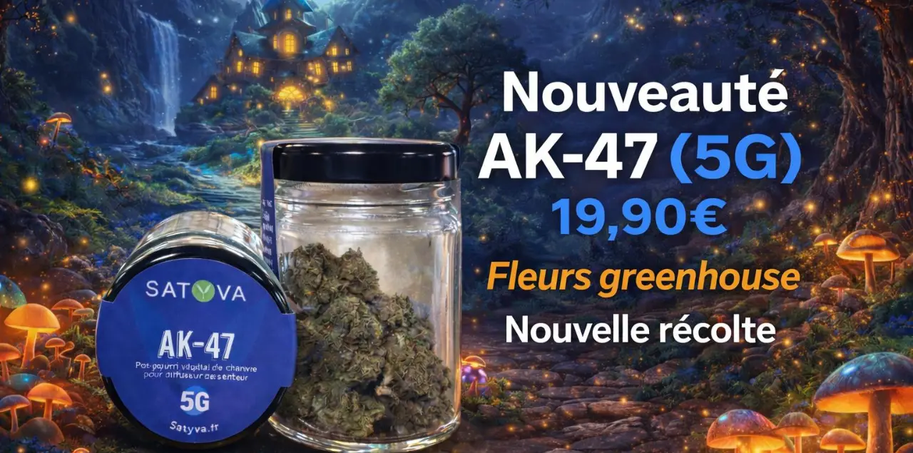 Satyva CBD Grenoble 6 rue Saint-Jacques