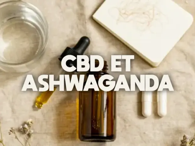CBD et ashwagandha : peut-on les associer ?