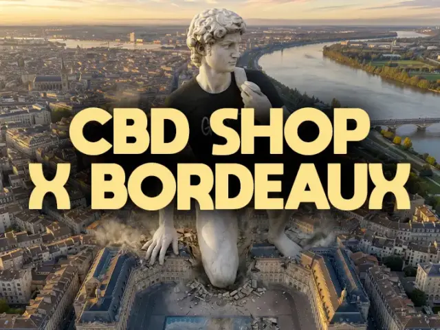 CBD à Bordeaux : les meilleurs shops en ligne et en boutique