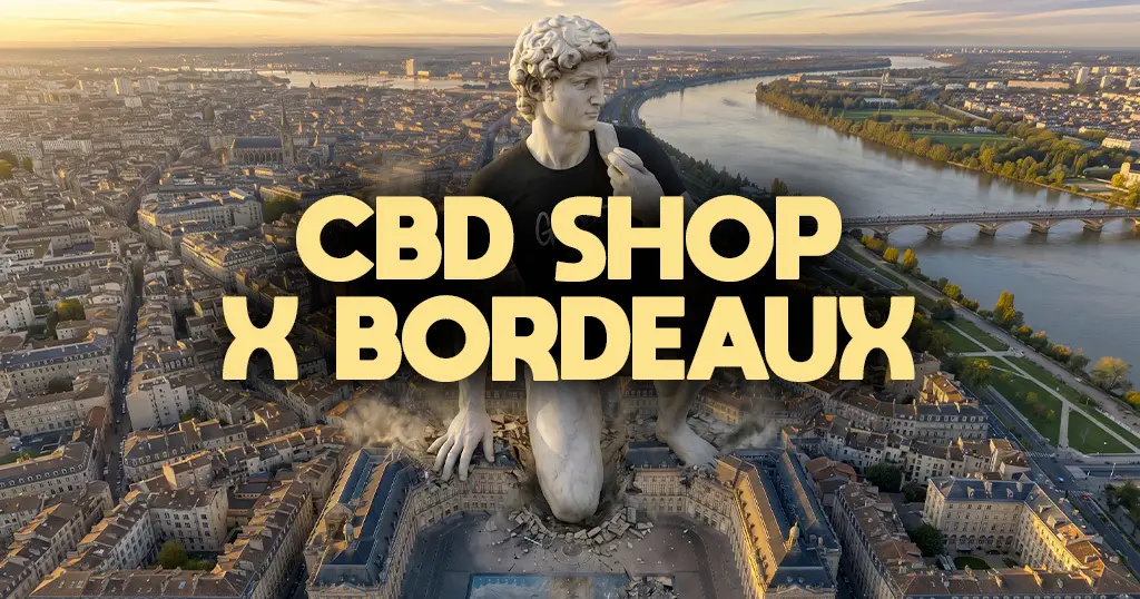 CBD Shop X Bordeaux