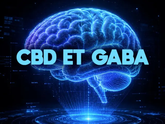CBD et GABA : comment le cannabidiol agit sur votre cerveau
