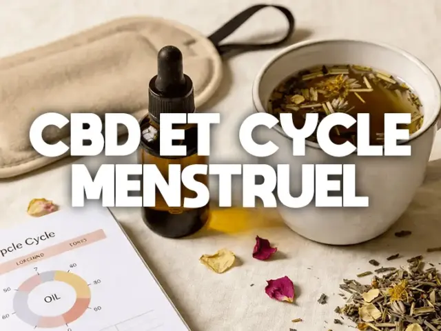 CBD et cycle menstruel : SPM, crampes et protocole par phase